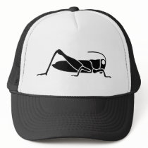 Grasshopper