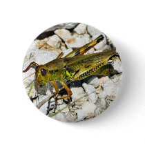 Grasshopper Insect Buttons