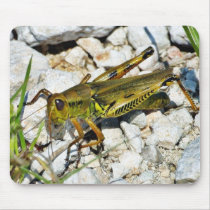 Grasshopper Insect Mousepad