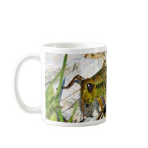 Grasshopper Insect Mugs