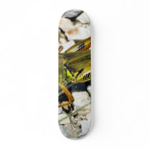 Grasshopper Insect Skate Deck