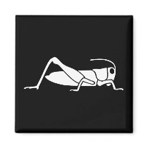 Grasshopper