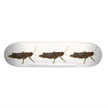 Grasshopper Skateboard