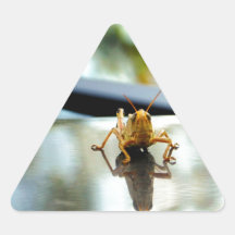 grasshopper stand off triangle sticker