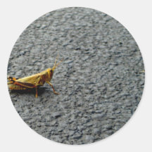 Grasshopper Stickers