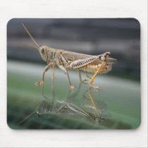 Grasshopperly Reflections Mousepad mousepads