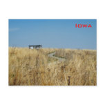 Grassland postcards
