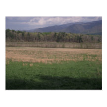 Grasslands in Cades Cove, Smoky Mountains Postcard