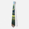 Grassy field with trees ties