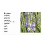 Gratitude Business Card