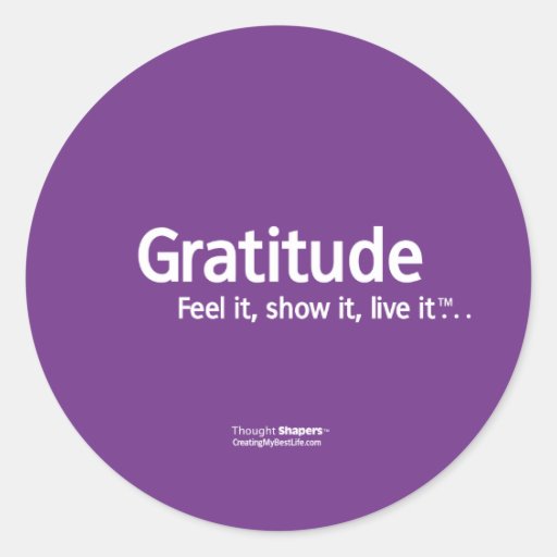 Gratitude Thought Shapers™ Stickers