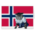 "Gratulerer med dagen" Norwegian cat card