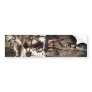 Graveyard Girls #2 Bumper Sticker