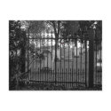 Graveyard Greetings! - Postcard #1
