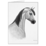 Gray Arabian Horse Card
