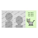 Gray Cat with Odd Eyes. photo cards