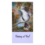 Gray Catbird, Thinking of You! Photo Card