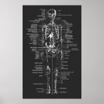 gray chalkboard style skeleton posters