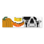 Gray Hollow Skull with Sunglasses Eyes Bumper Stickers