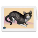 Gray Tabby cards