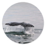 Gray whale sticker