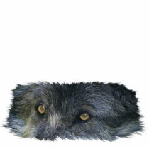 GRAY WOLF EYES (sculpted) Wildlife Gift Item