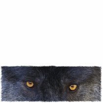 GRAY WOLF EYES (sculpted) Wildlife Gift Item