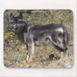 Gray Wolf Study Wildlife Supporter Mousepad