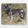 Gray Wolf Study Wildlife Supporter Mousepad
