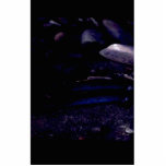 Grayling Photo Cut Out