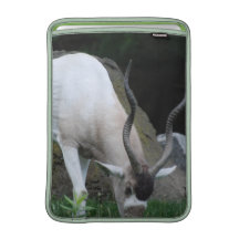 Grazing Addax 13" MacBook Sleeve