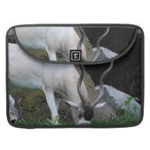 Grazing Addax 15" MacBook Sleeve MacBook Pro Sleeves