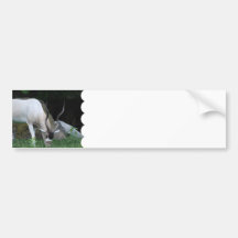Grazing Addax Bumper Stickers