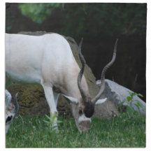 Grazing Addax Four Napkins