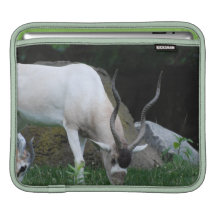 Grazing Addax iPad Sleeve