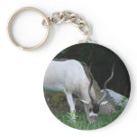 Grazing Addax Keychain