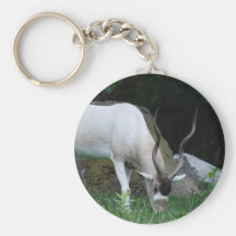 Grazing Addax Keychain