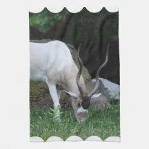 Grazing Addax Kitchen Towel