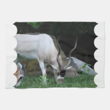 Grazing Addax Kitchen Towel