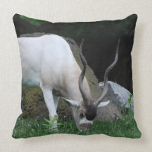 Grazing Addax Pillow