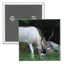 Grazing Addax Pin