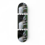 Grazing Addax Skateboard