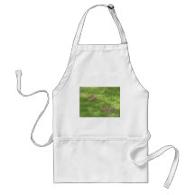 Grazing Bunnies Aprons
