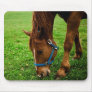 Grazing Chestnut with Stripe Mouse Pad