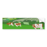 Grazing Cows bumper stickers