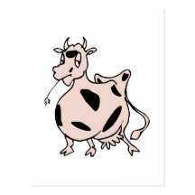 grazing happy cow postcards