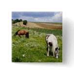 Grazing horses pinback button