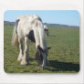 Grazing Horses Mousepad