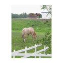 Grazing Horses postcards