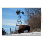 grazing on the frozen plain greeting card